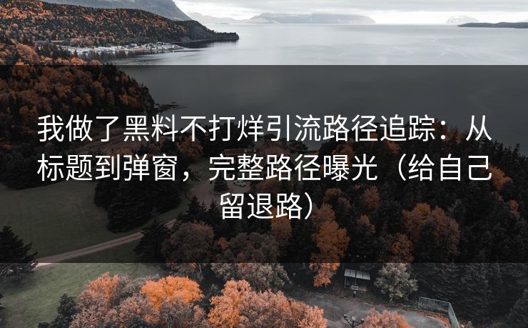 我做了黑料不打烊引流路径追踪:从标题到弹窗,完整路径曝光(给自己留退路)