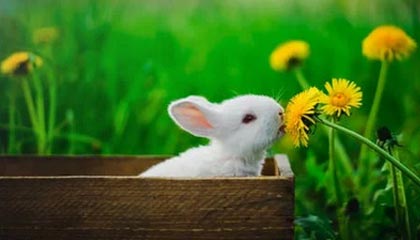 午休时一条匿名投稿，让我彻底沉默