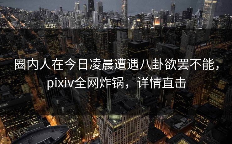 圈内人在今日凌晨遭遇八卦欲罢不能，pixiv全网炸锅，详情直击